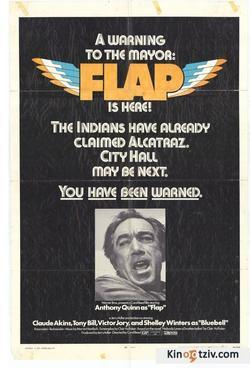 Flap picture