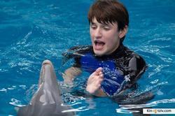 Dolphin Tale 2 picture