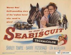 The Story of Seabiscuit picture