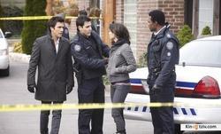 Rookie Blue picture
