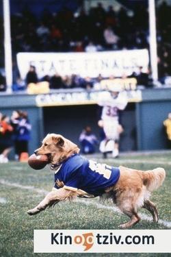 Air Bud picture