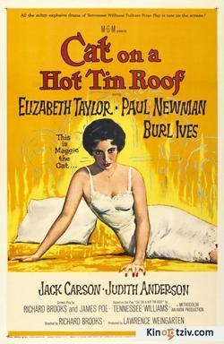 Cat on a Hot Tin Roof picture