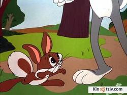 Rabbit's Kin picture