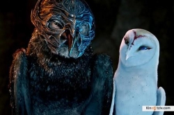 Legend of the Guardians: The Owls of Ga’Hoole picture