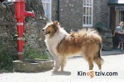 Lassie picture