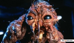 The Fly picture