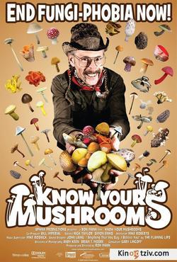 Mushrooms picture