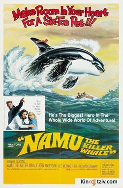 Namu, the Killer Whale picture