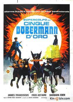 The Amazing Dobermans picture