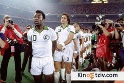 Once in a Lifetime: The Extraordinary Story of the New York Cosmos picture