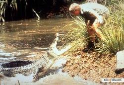 Crocodile Hunter picture