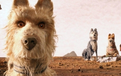 Isle of Dogs picture