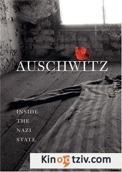 Auschwitz picture