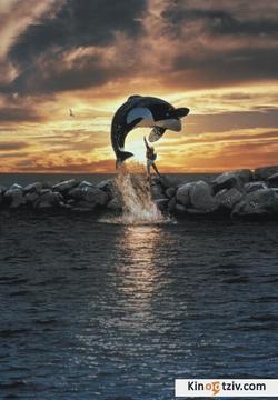 Free Willy picture
