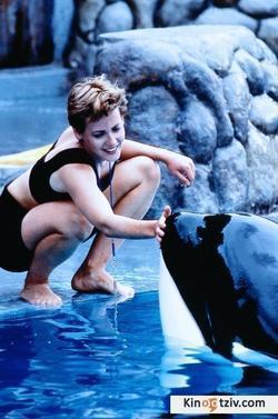 Free Willy picture