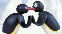 Pingu picture