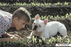 Secondhand Lions picture