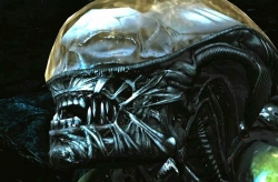 Alien: Covenant picture