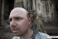 An Idiot Abroad picture