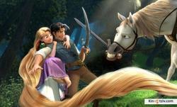Tangled picture