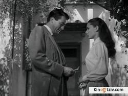 Roman Holiday picture