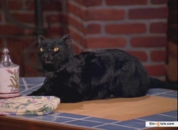 Sabrina, the Teenage Witch picture