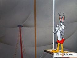 Big Top Bunny picture