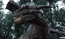Dragonheart 3: The Sorcerer's Curse picture