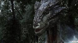 Dragonheart 3: The Sorcerer's Curse picture
