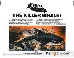 Orca, the Killer Whale picture