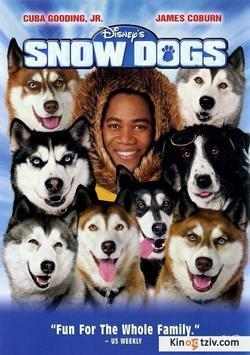 Snow Dogs picture