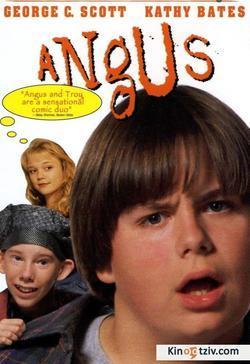 Angus picture