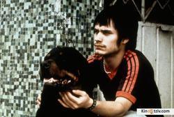 Amores perros picture