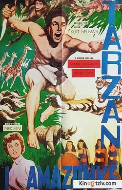 Tarzan and the Amazons picture