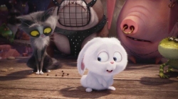 The Secret Life of Pets picture