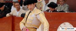 Bullfighter picture