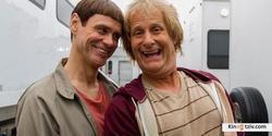 Dumb and Dumber To picture