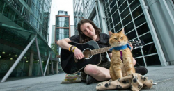 A Street Cat Named Bob picture