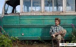 Into the Wild picture