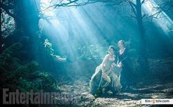 Into the Woods picture