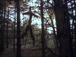 The Blair Witch Project picture