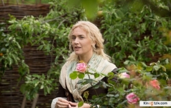 A Little Chaos picture