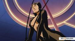 DC Showcase: Catwoman picture