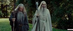 The Lord of the Rings: The Fellowship of the Ring picture