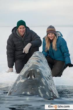 Big Miracle picture