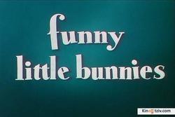 Funny Little Bunnies picture