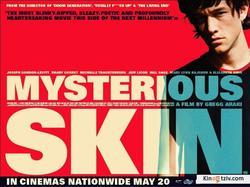 Mysterious Skin picture