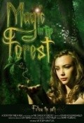 Magic in the Forest - wallpapers.
