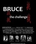 Bruce the Challenge - wallpapers.