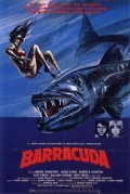Barracuda pictures.